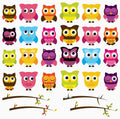 16x16 Owl Pattern – High Quality Printable Design